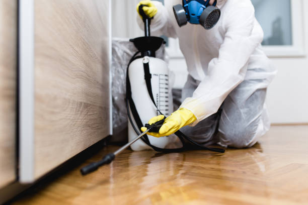 Best Affordable Pest Control Services  in Prairie City, IA