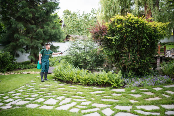 Best Pest Prevention Services  in Prairie City, IA