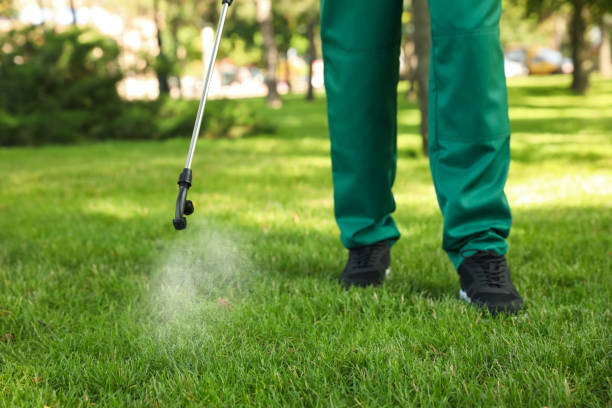 Best Ant Control Services  in Prairie City, IA