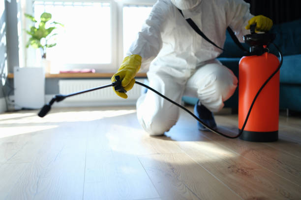Best Emergency Pest Control  in Prairie City, IA