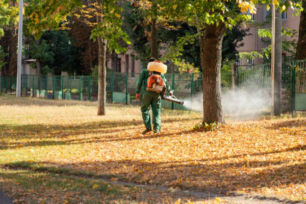 Best Spider Control Near Me  in Prairie City, IA