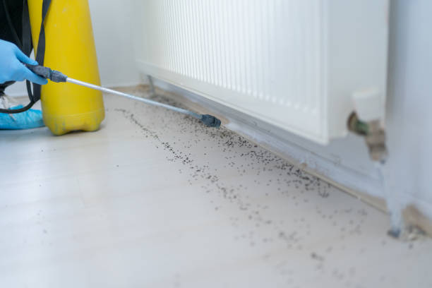 Best Bed Bug Extermination  in Prairie City, IA