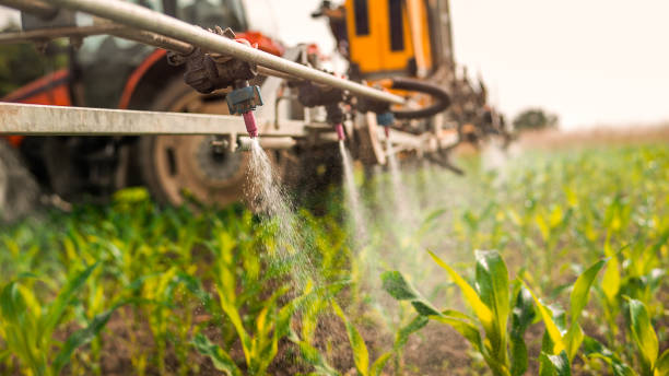 Best Exterminator Services  in Prairie City, IA