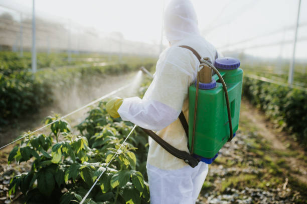 Best Bed Bug Extermination  in Prairie City, IA